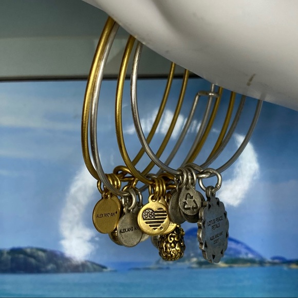 Alex and Ani 4 charm bracelet bundle - Picture 14 of 16